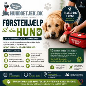 Førstehjælp til hund kursus