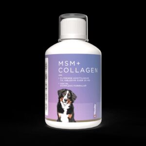 Collagen MSM til hund