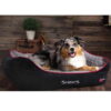 Scruffs termo hundeseng