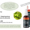Wetality N0.08 30 ml Spray