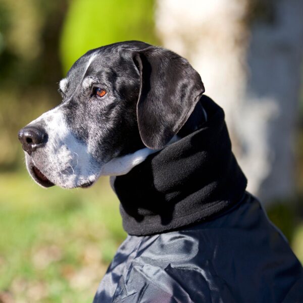 Whippet dækken