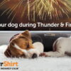 Thundershirt - til den nervøse hund