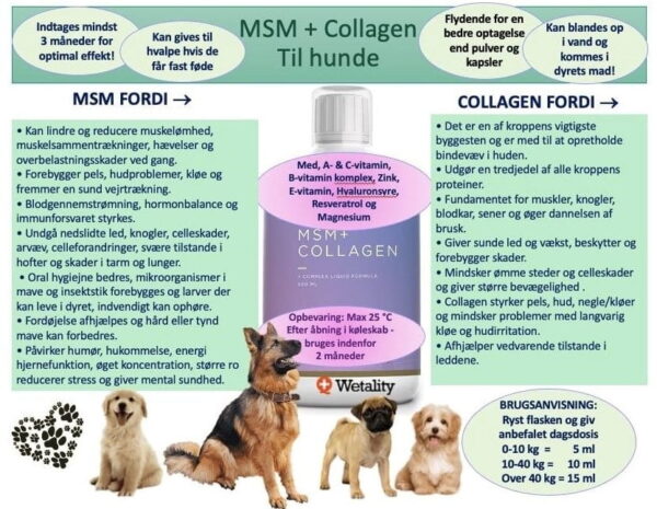 Collagen + MSM Wetality