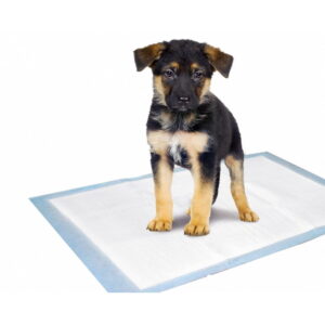 PUPPY TRAINING MAT 5stk
