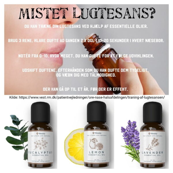 Eucalyptus - Lemon - Lavender