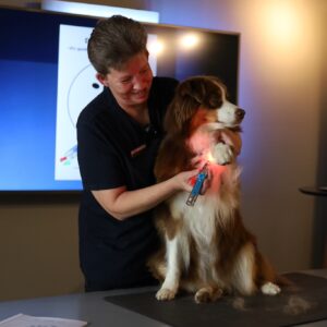 Terapeutisk lysterapi kursus