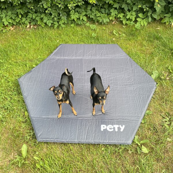 Pety PopUp hundetelt