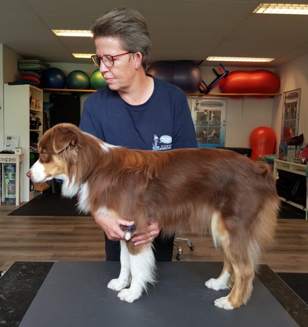 Behandling af myofascielle linier. Manuel bindevævsbehandling