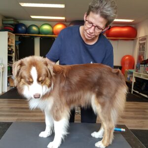 Behandling af myofascielle linier. Manuel bindevævsbehandling