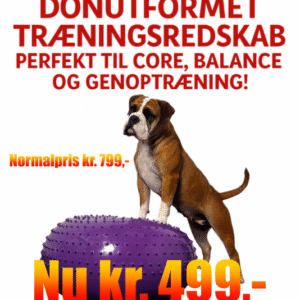 Flexiness SensiDonut Purple