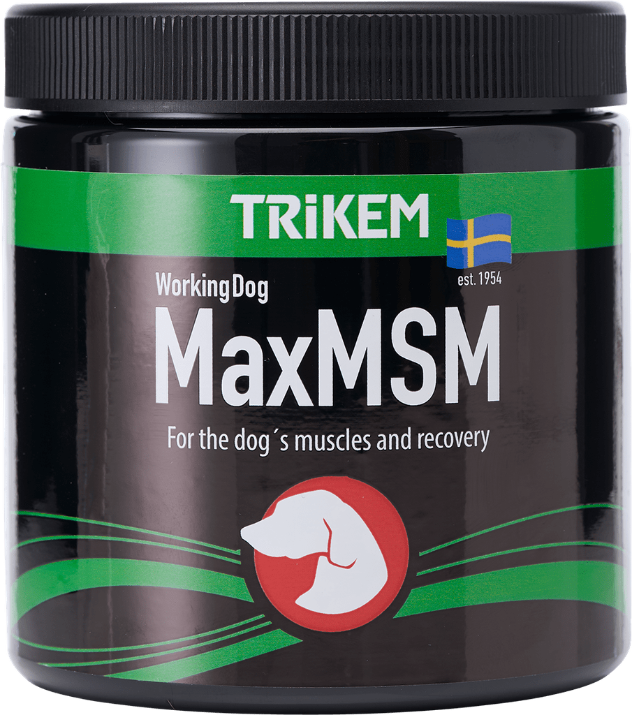 WorkingDog MSM+ 450g