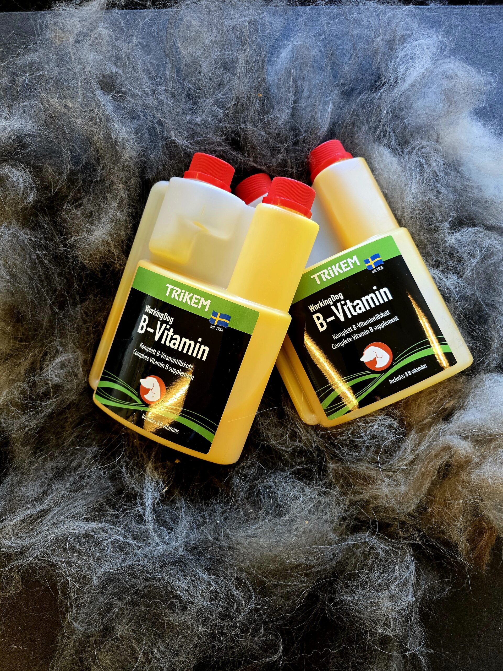 WorkingDog B-vitamin - pels - nervesystem - energi - hud - Billede 2