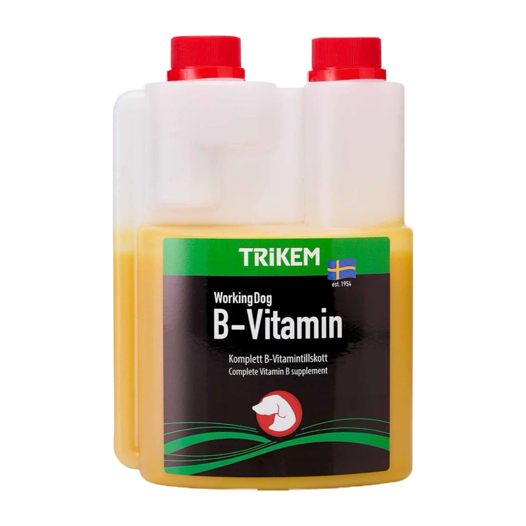WorkingDog B-vitamin - pels - nervesystem - energi - hud