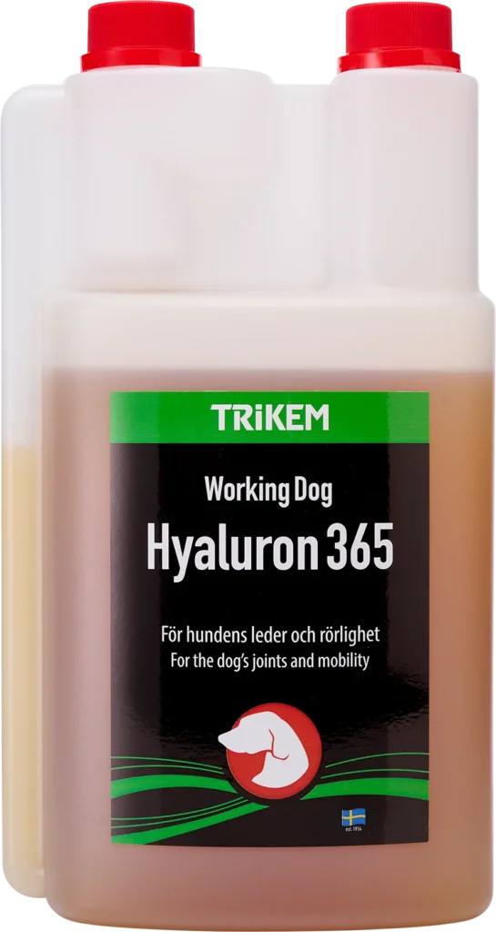 Hyaluron 365 er en unik sammensætning af stoffer, der alle virker for hundens ledfunktion og bevægelighed.