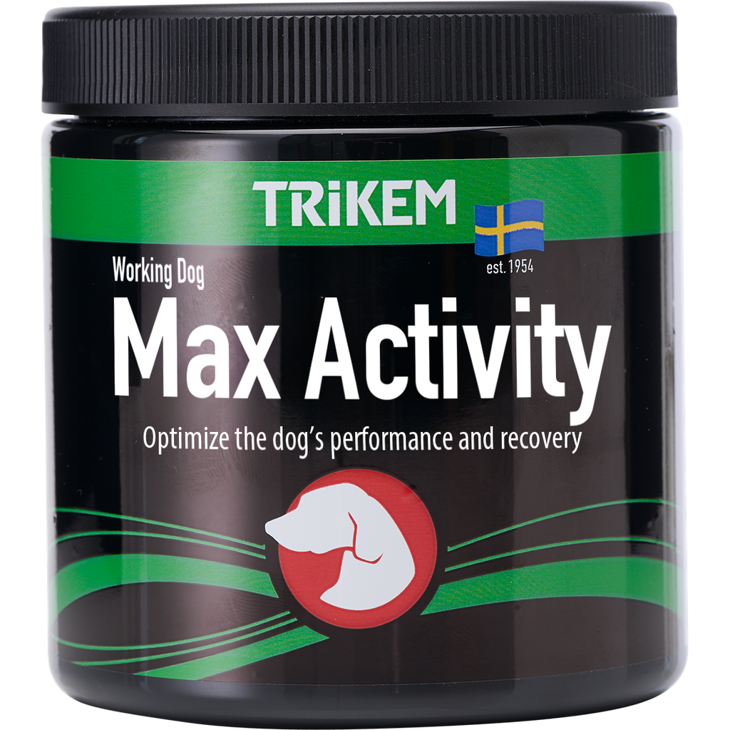 WorkingDog MaxActivity