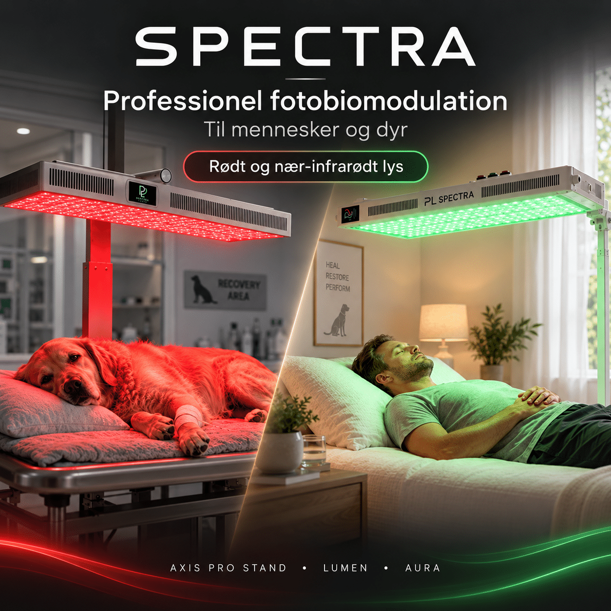 SPECTRA® – avanceret lysterapi til dyr og mennesker - Billede 2